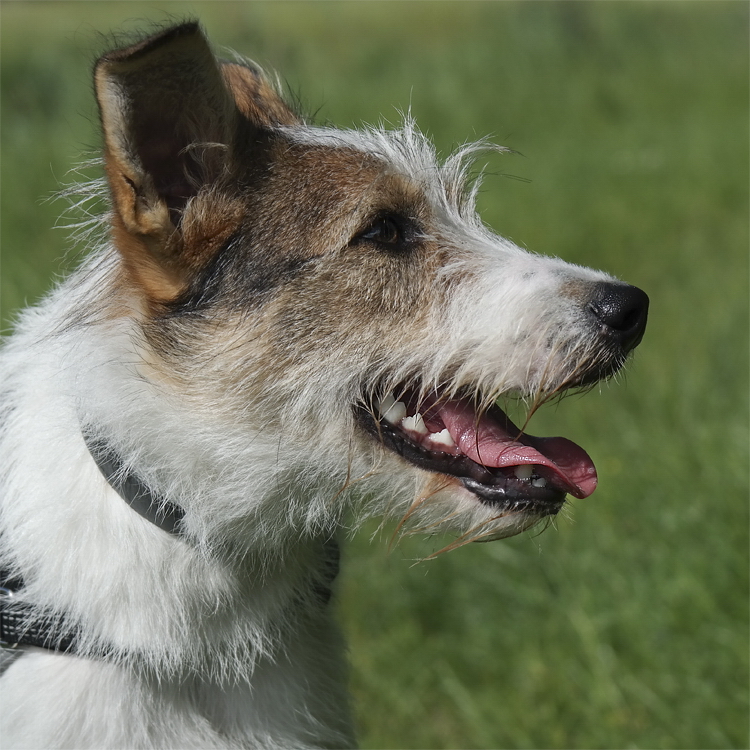 1 -- Felix Holland 6 - 2013 _SAM_0787 als Smart-Objekt-1.jpg